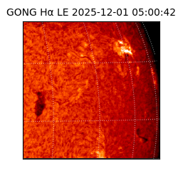 gong - 2025-12-01T05:00:42