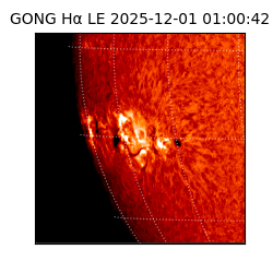 gong - 2025-12-01T01:00:42