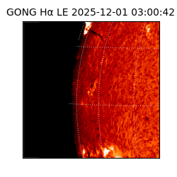 gong - 2025-12-01T03:00:42