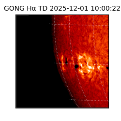 gong - 2025-12-01T10:00:22