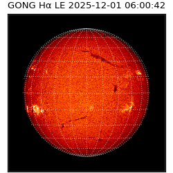 gong - 2025-12-01T06:00:42