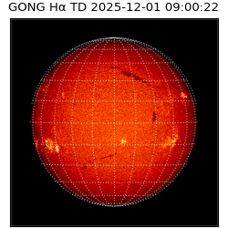 gong - 2025-12-01T09:00:22