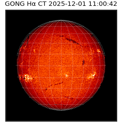 gong - 2025-12-01T11:00:42