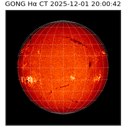 gong - 2025-12-01T20:00:42