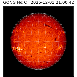 gong - 2025-12-01T21:00:42