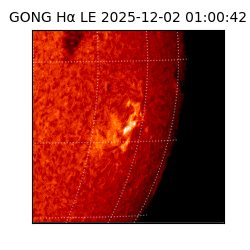 gong - 2025-12-02T01:00:42