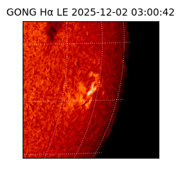 gong - 2025-12-02T03:00:42
