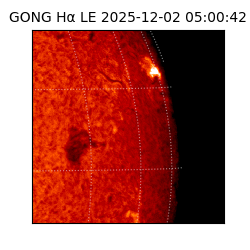 gong - 2025-12-02T05:00:42