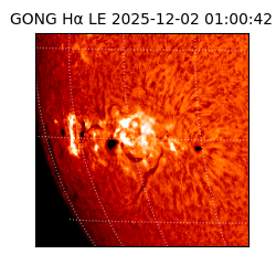 gong - 2025-12-02T01:00:42