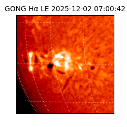 gong - 2025-12-02T07:00:42