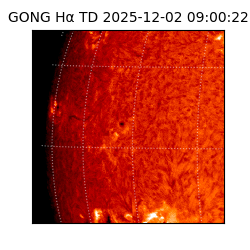gong - 2025-12-02T09:00:22