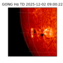 gong - 2025-12-02T09:00:22