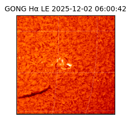 gong - 2025-12-02T06:00:42