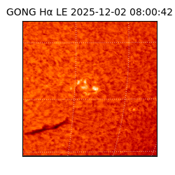 gong - 2025-12-02T08:00:42