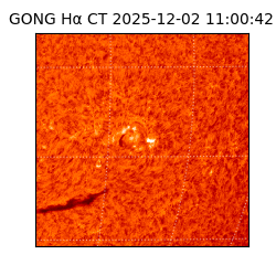 gong - 2025-12-02T11:00:42