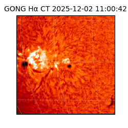 gong - 2025-12-02T11:00:42