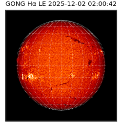 gong - 2025-12-02T02:00:42