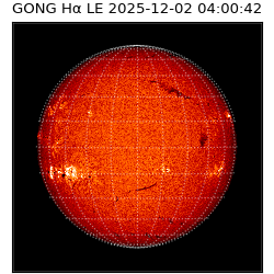 gong - 2025-12-02T04:00:42