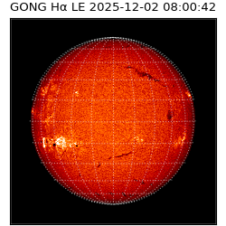 gong - 2025-12-02T08:00:42