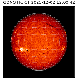 gong - 2025-12-02T12:00:42