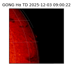 gong - 2025-12-03T09:00:22
