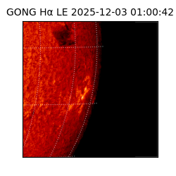gong - 2025-12-03T01:00:42