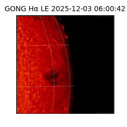 gong - 2025-12-03T06:00:42