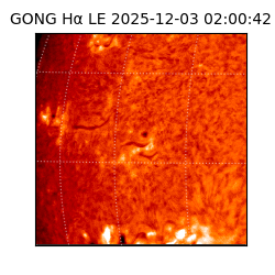 gong - 2025-12-03T02:00:42