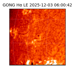 gong - 2025-12-03T06:00:42