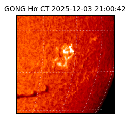 gong - 2025-12-03T21:00:42