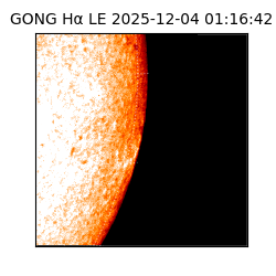 gong - 2025-12-04T01:16:42