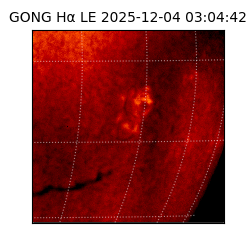 gong - 2025-12-04T03:04:42