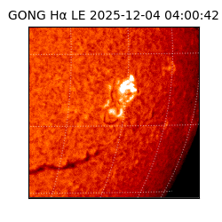 gong - 2025-12-04T04:00:42