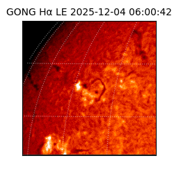 gong - 2025-12-04T06:00:42