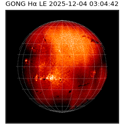 gong - 2025-12-04T03:04:42
