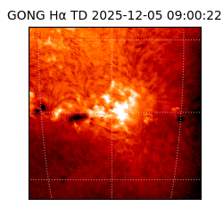 gong - 2025-12-05T09:00:22