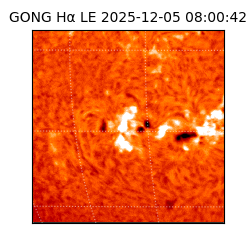 gong - 2025-12-05T08:00:42