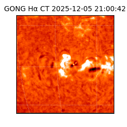 gong - 2025-12-05T21:00:42