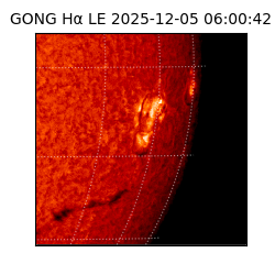 gong - 2025-12-05T06:00:42