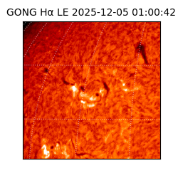 gong - 2025-12-05T01:00:42