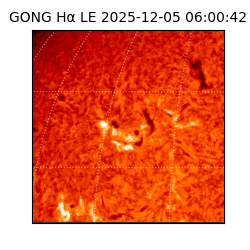 gong - 2025-12-05T06:00:42