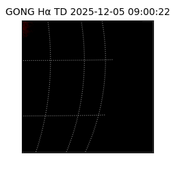 gong - 2025-12-05T09:00:22