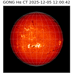 gong - 2025-12-05T12:00:42
