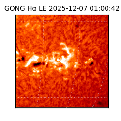 gong - 2025-12-07T01:00:42