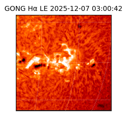 gong - 2025-12-07T03:00:42