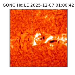 gong - 2025-12-07T01:00:42