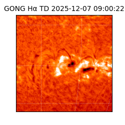 gong - 2025-12-07T09:00:22