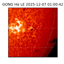 gong - 2025-12-07T01:00:42
