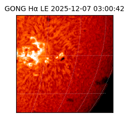 gong - 2025-12-07T03:00:42