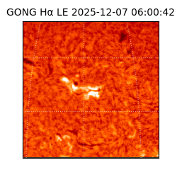 gong - 2025-12-07T06:00:42